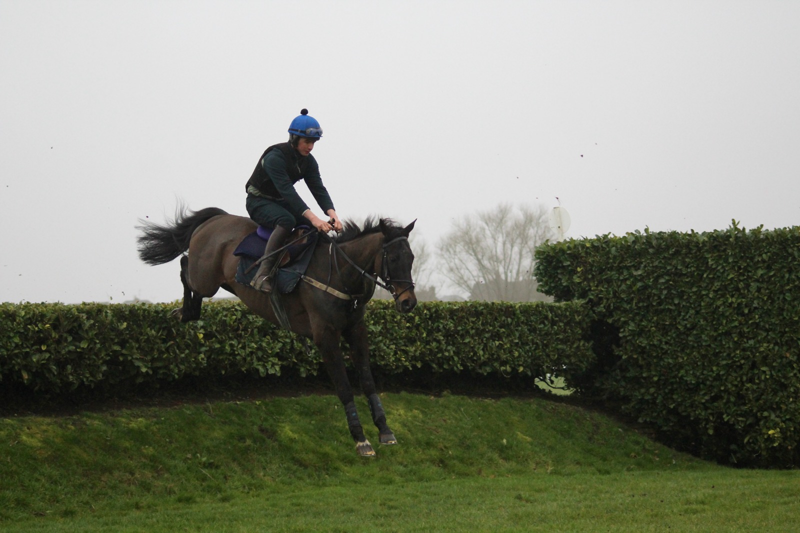 Vivas cross country schooling around Cheltenham before his debut!