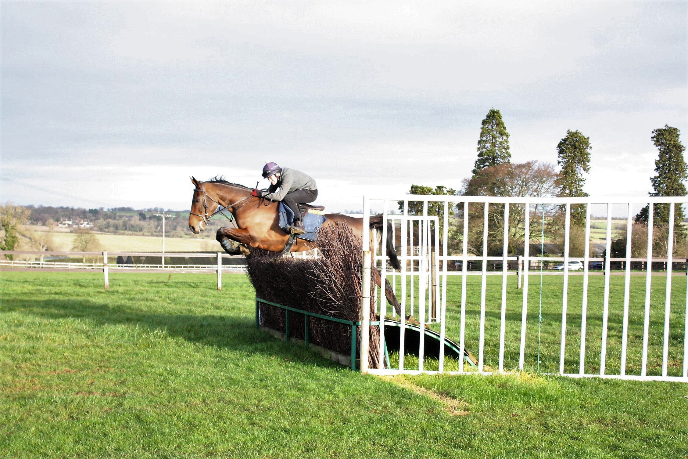 charlie longsdon stable tour