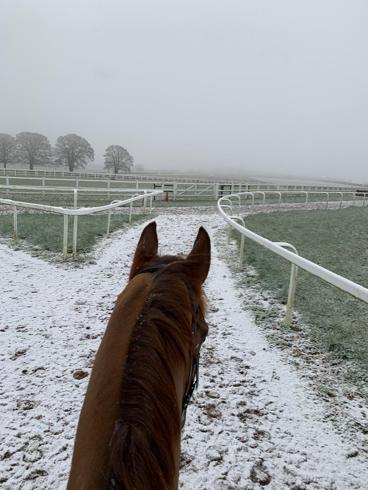 Castle Robin in the snow