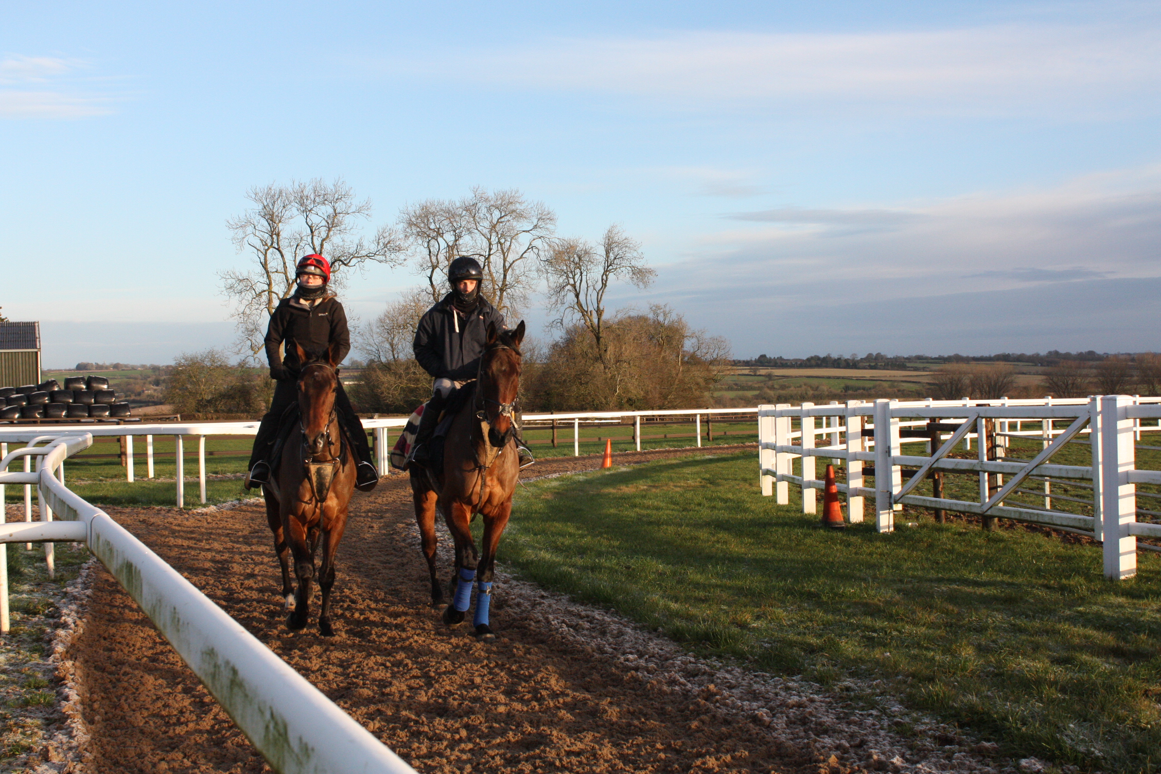 Rainmaker and Carlow Farmer