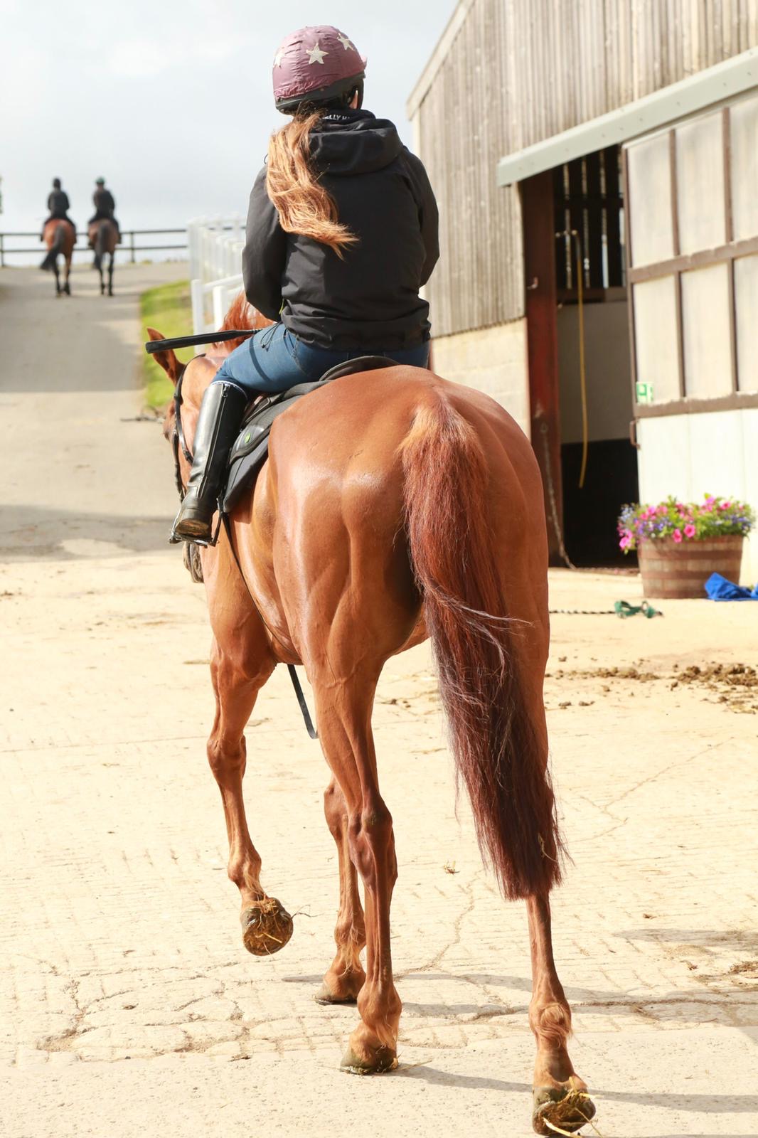 charlie longsdon stable tour