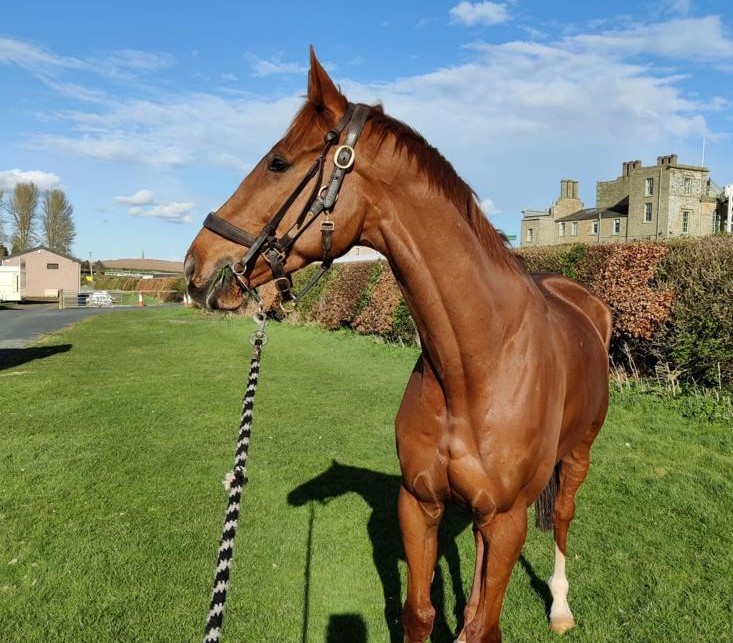 Pick of grass after arriving in Kelso