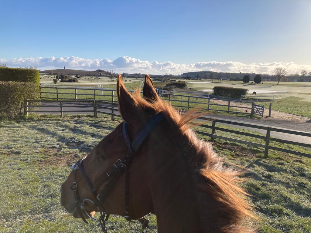 The morning view over Kelso racecourse