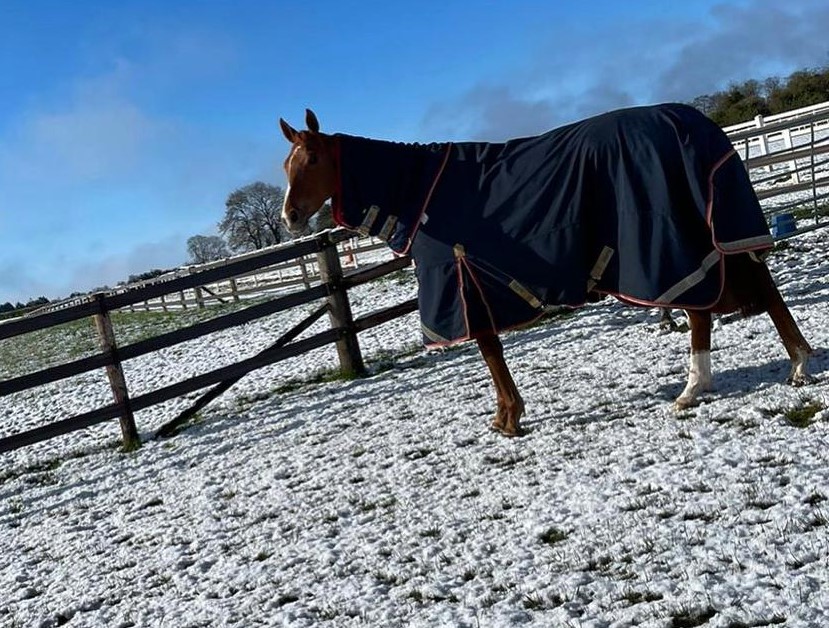 Local Affair in the surprise snow yesterday morning