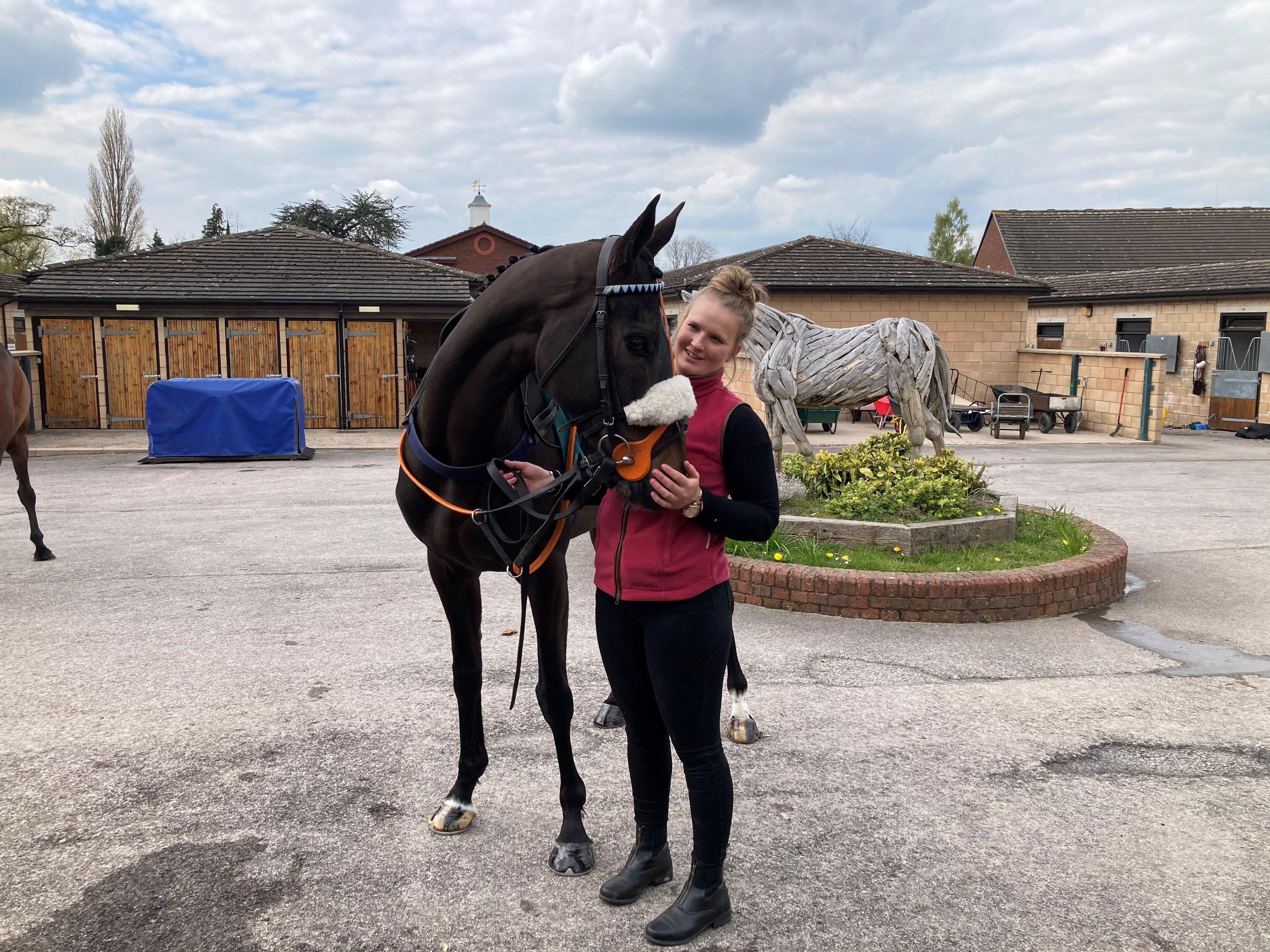 Storm Goddess  at Cheltenham