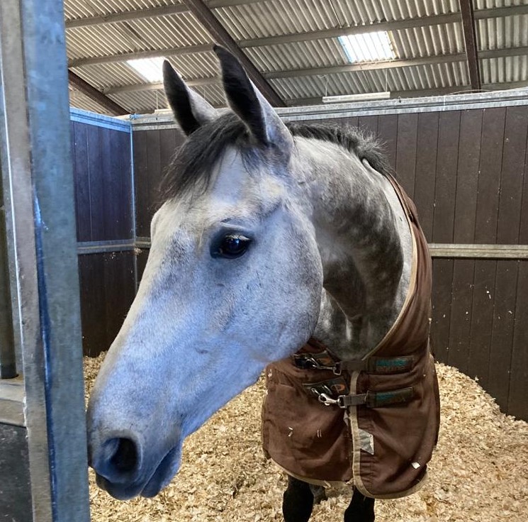 Maxi Jazz happy with his run