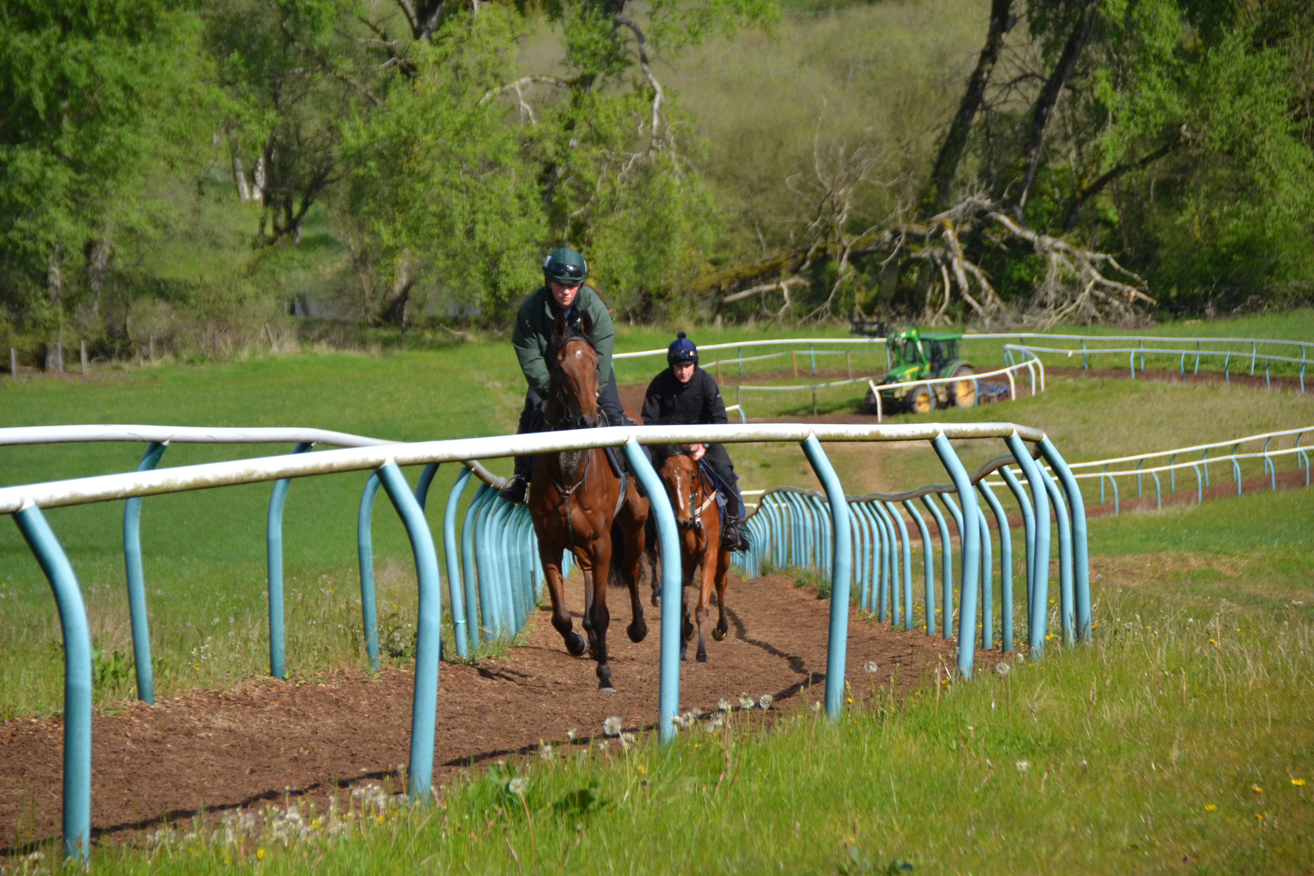 Midnight Jewel leading the 2yo's