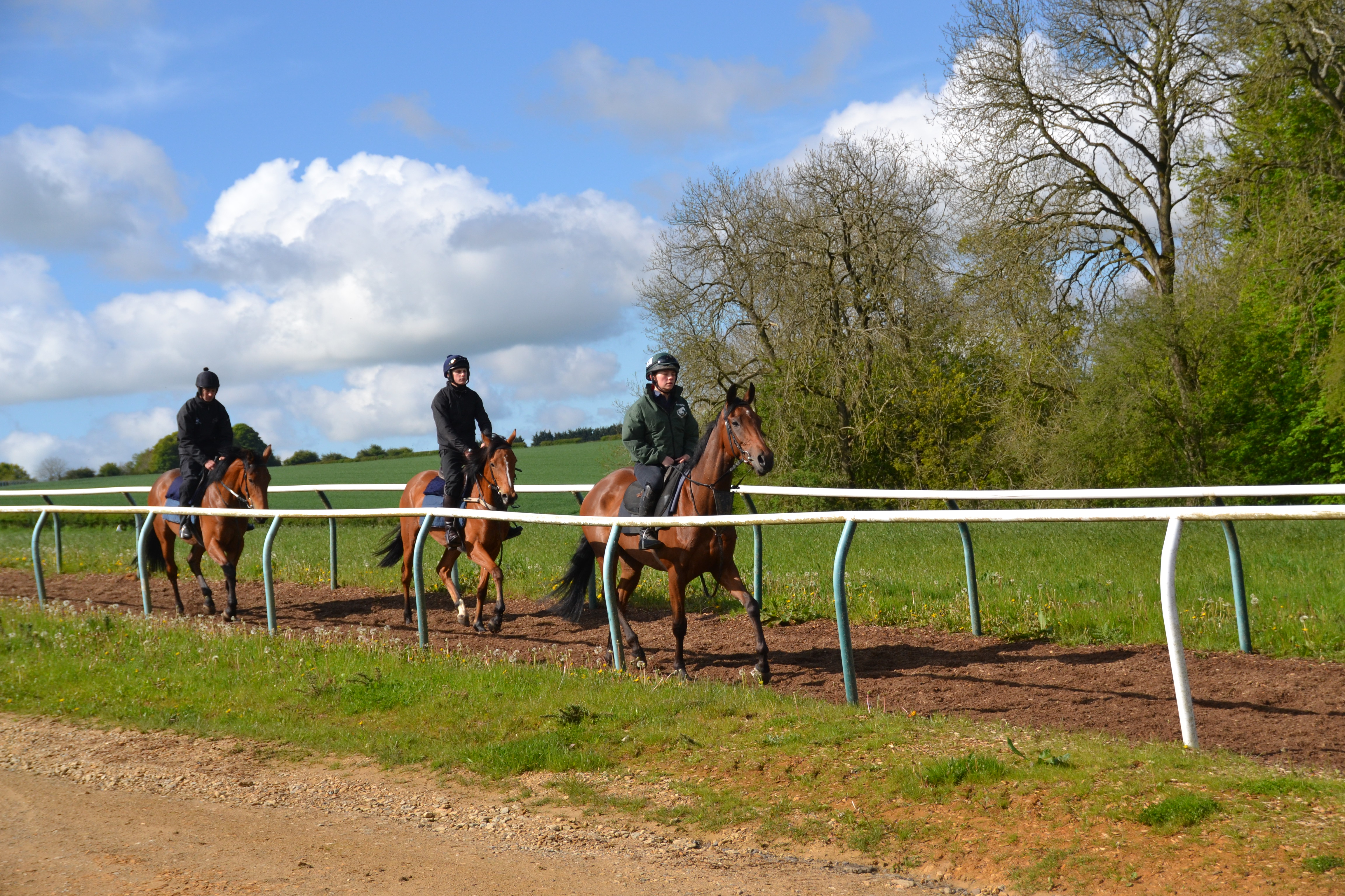 Midnight Jewel leading Queen Mandana and Imperial Jade