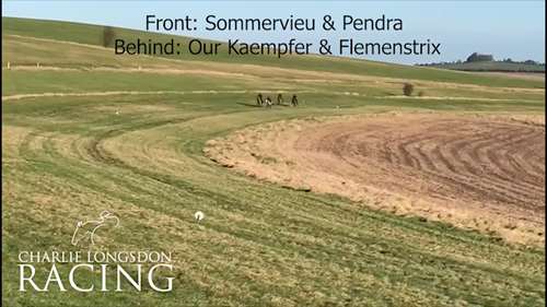 Sommervieu, Pendra, Our Kaempfer & Flemenstrix galloping in Lambourn
