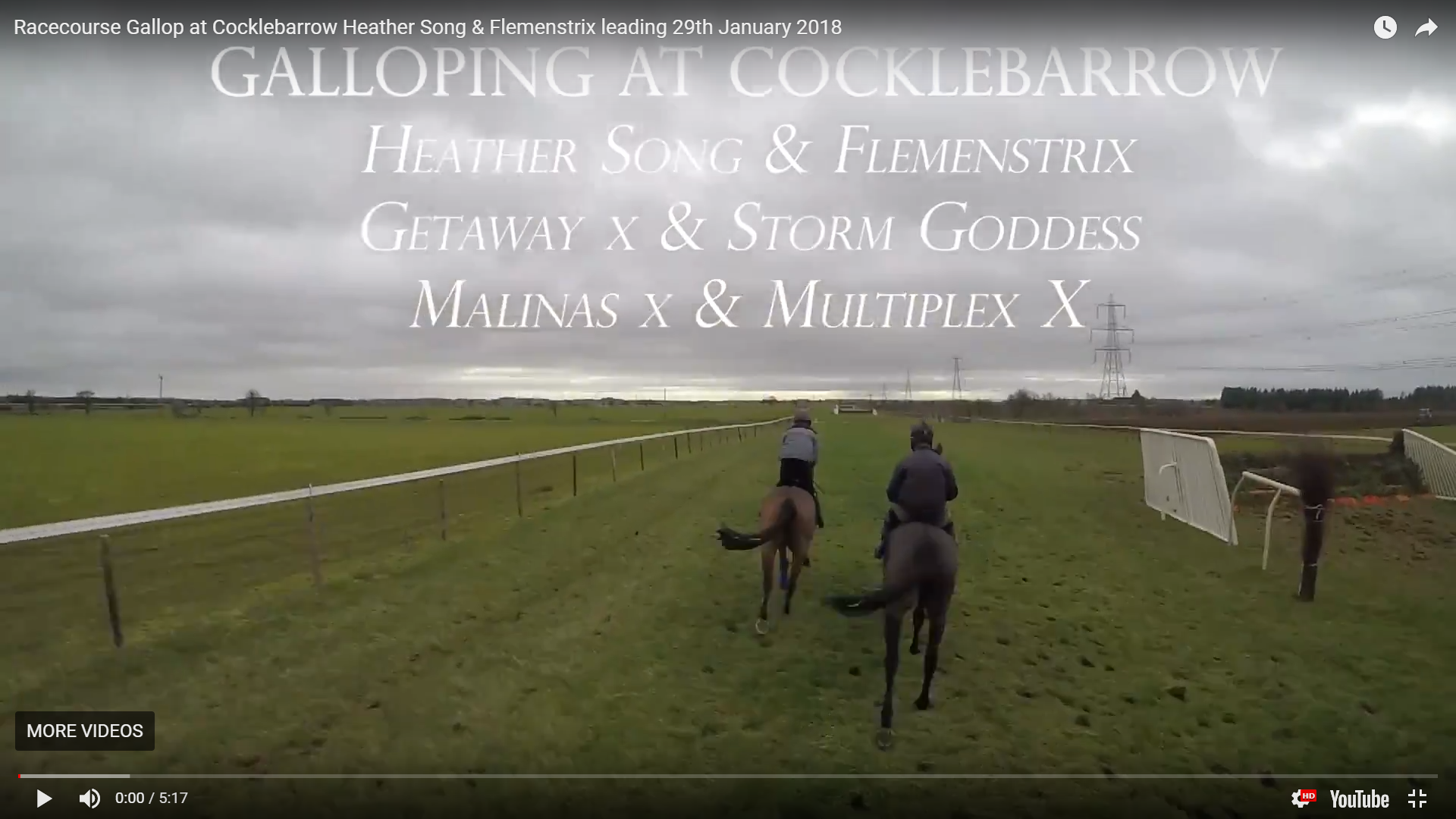 Racecourse Gallop at Cocklebarrow Heather Song & Flemenstrix leading 29th January 2018