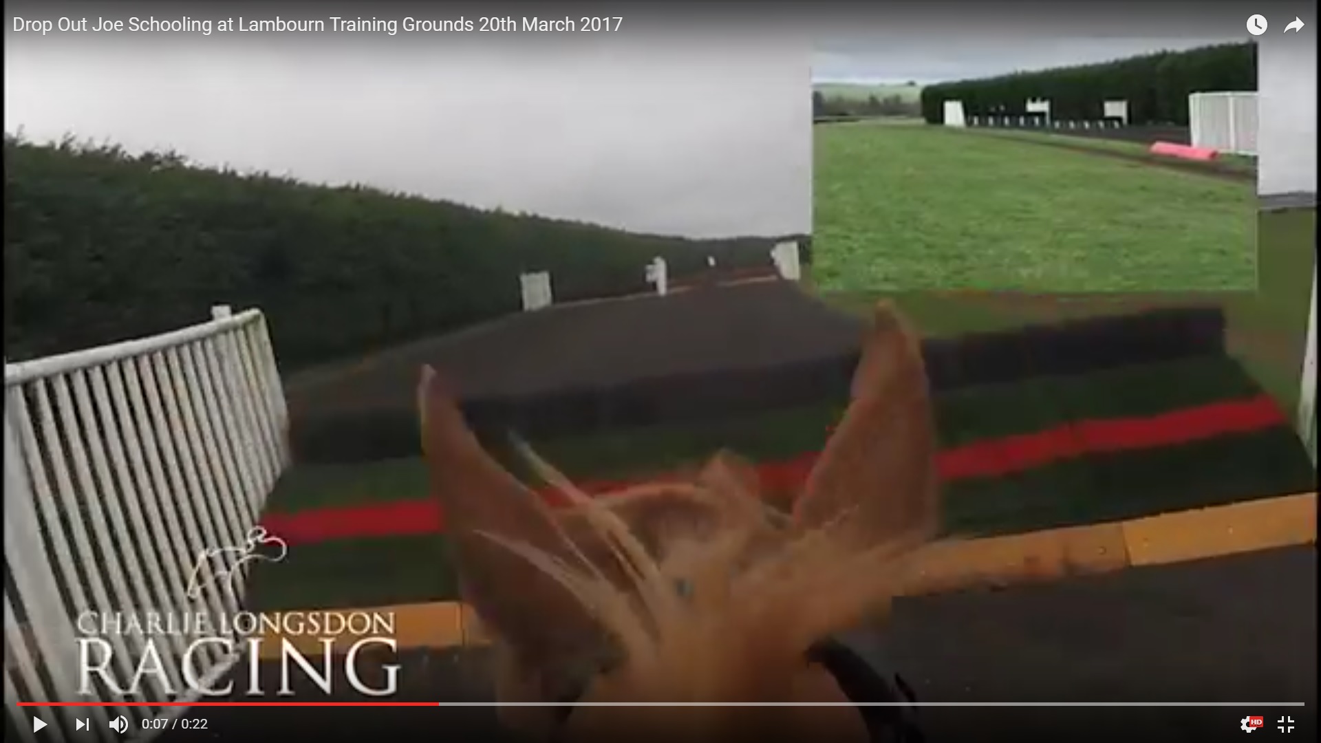 Drop Out Joe Schooling at Lambourn