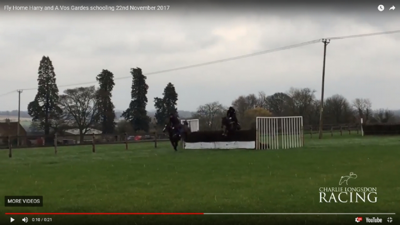 Fly Home Harry and A Vos Gardes schooling 22nd November 2017