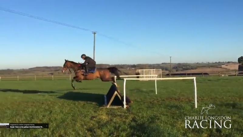 Scorpion Princess Schooling 8th November 2017