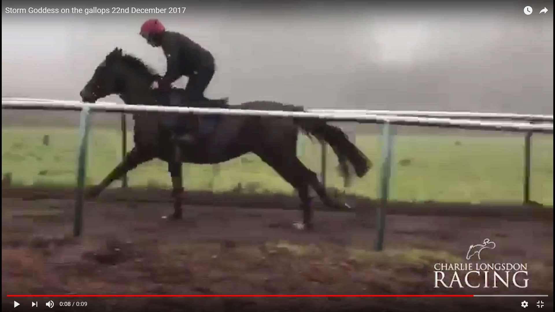 Storm Goddess on the gallops 22nd December 2017