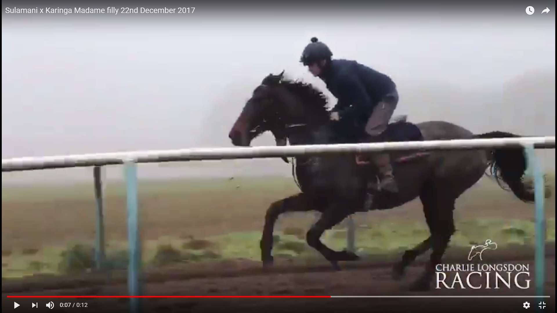 Sulamani x Karinga Madame on the gallops 22nd December 2017