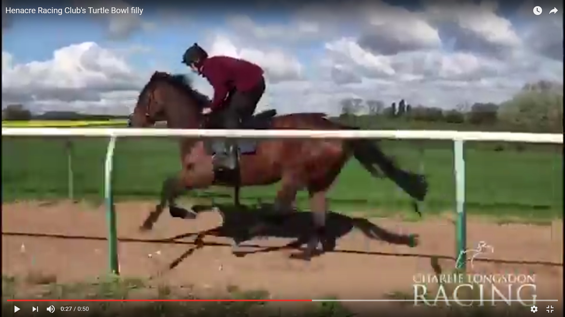 Turtle Bowl Filly