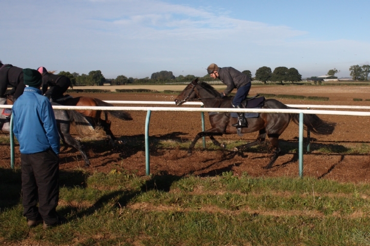 On the gallops at Hull Farm Charlie Longsdon Racing