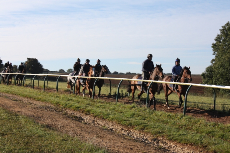 On the gallops at Hull Farm Charlie Longsdon Racing