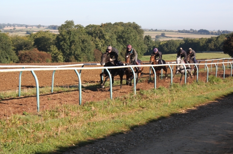 On the gallops at Hull Farm Charlie Longsdon Racing
