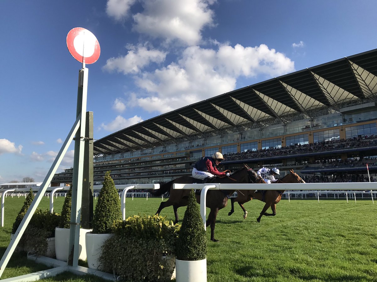 Loose Chips keeps his nose infront on the line over Bob Tucker at Ascot Racecourse 