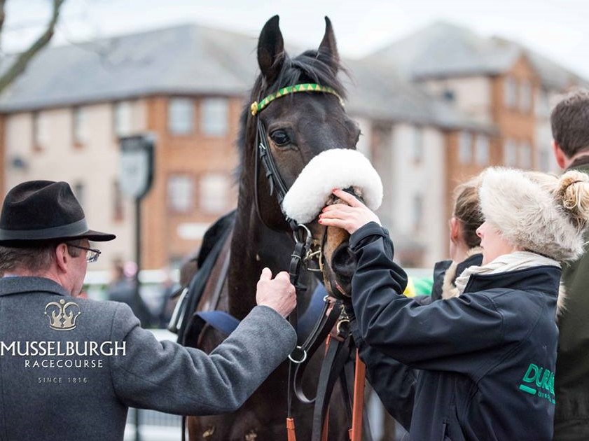 Monbeg Charmer after winning at Musselburgh