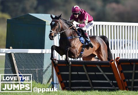 Treackle Tart winning at Exeter Racecourse Photo copyright PPAUK