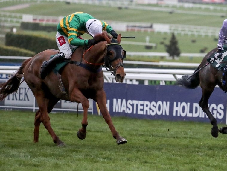 Pendra finishing second at Cheltenham Festival