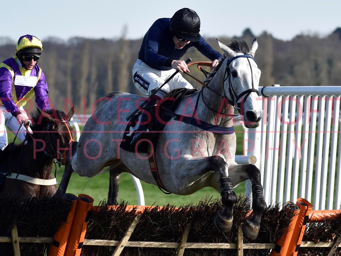 Snow Leopardess and Aiden Coleman jumping the last at Newbury, Photo by Francesca Altoft