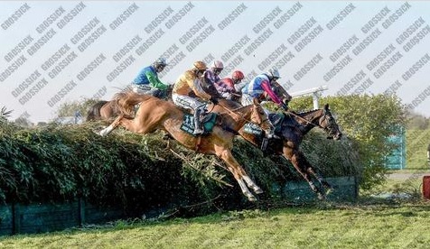 Drop Out Joe jumping in the Grand National, copyright John Grossick