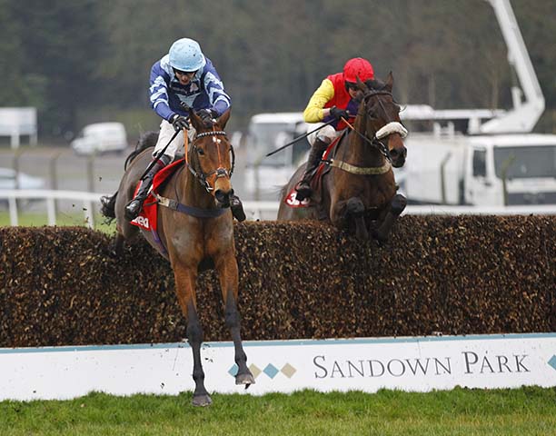 Pete The Feat flying the last to win the Veterans Final at Sandown