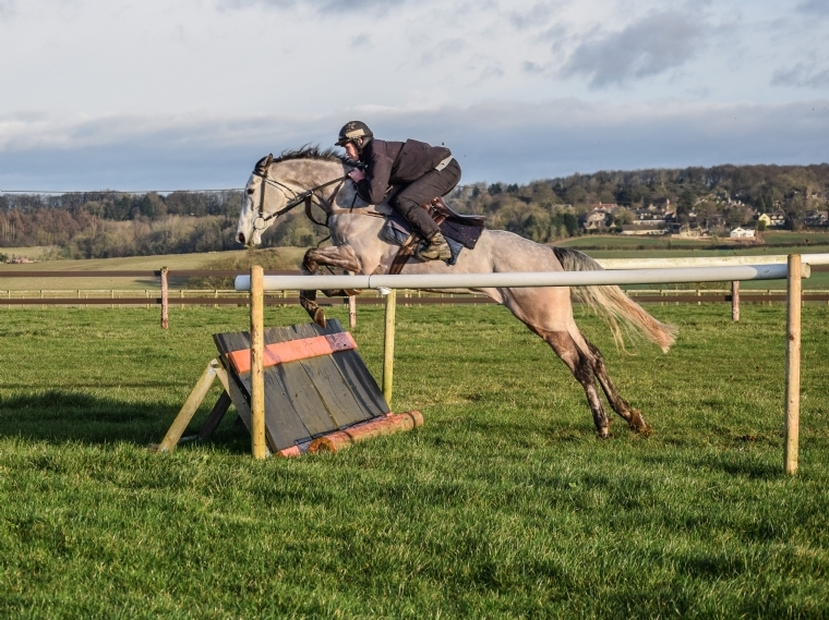 Snow Leopardess Schooling at Home