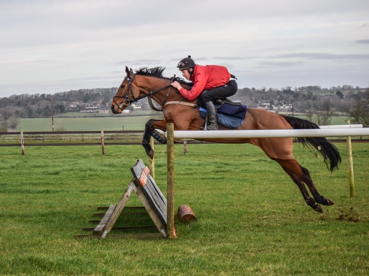 Goffs UK Horses In Training Sale Horses for sale