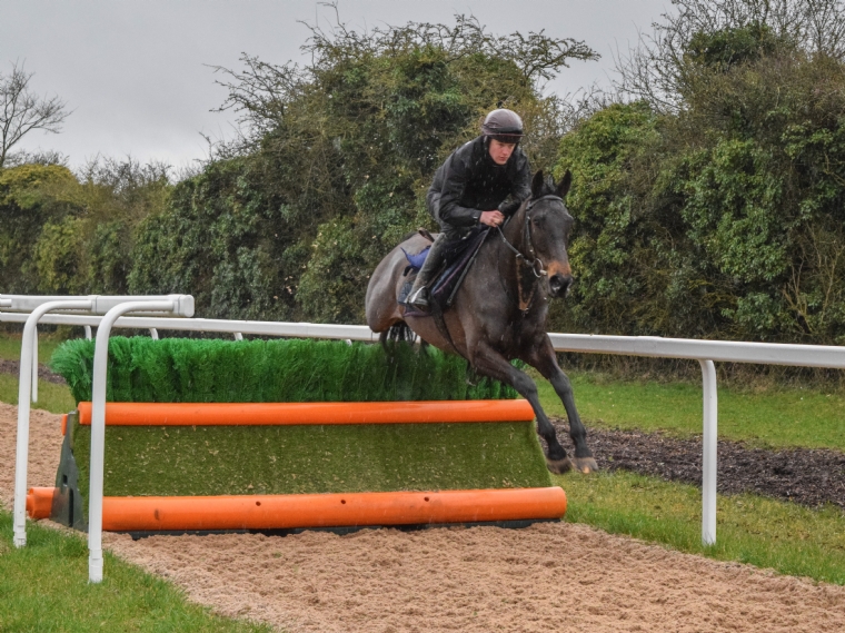 Goffs UK Horses In Training Sale Horses for sale