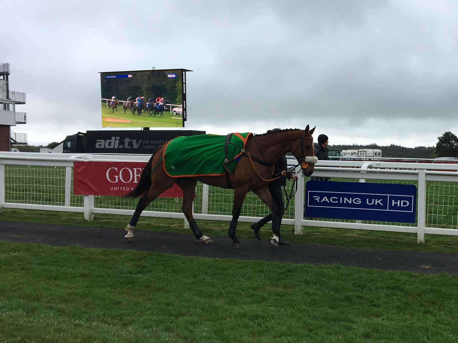 Leith Hill Lad at Exeter