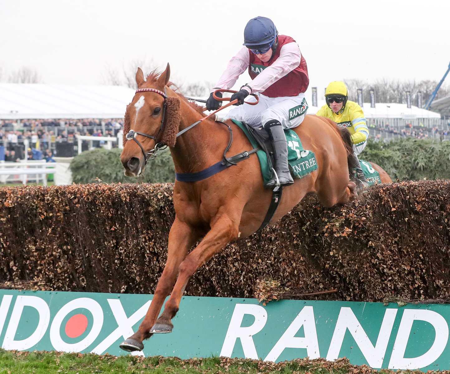 Bentelimar and Johnathan Burke winning the Zut Media Handicap Chase photo by Steve Davies