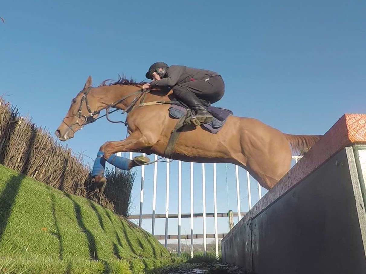 Bentelimar schooling last season