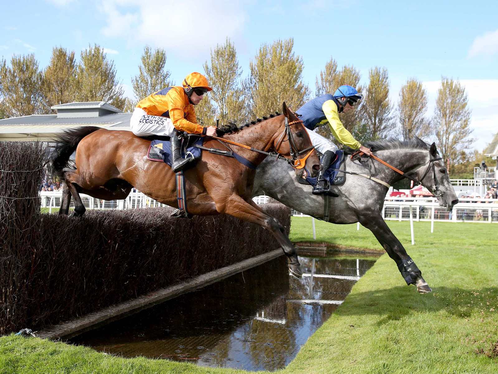 Hammersly Lake winning at Perth 2017