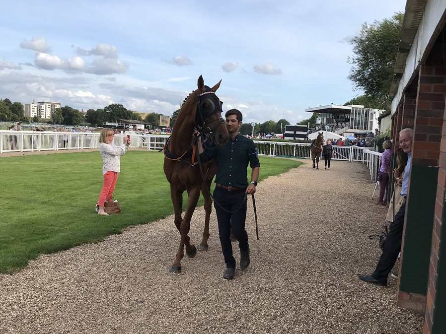 Dandridge and Will at Worcester yesterday