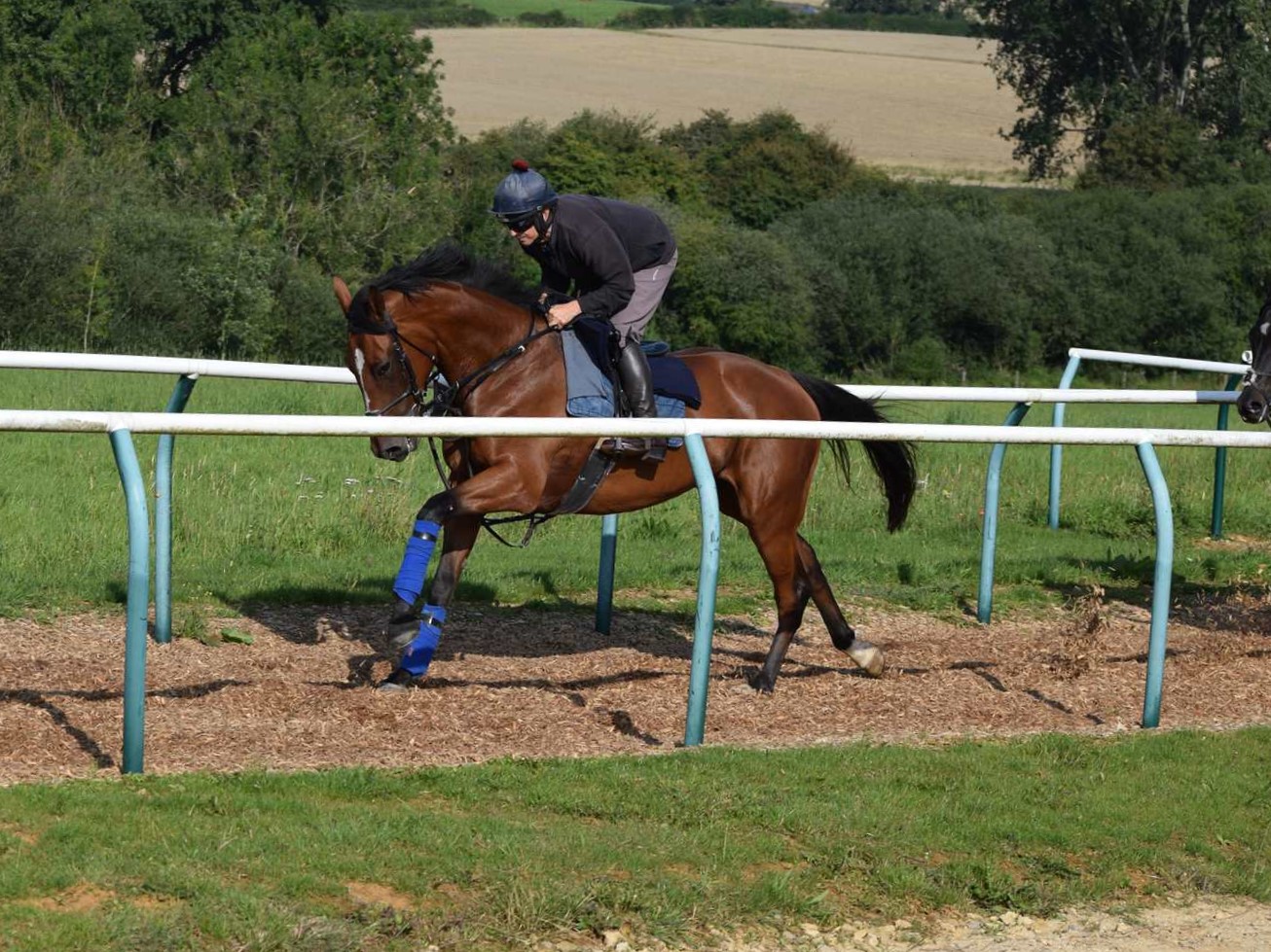 Do Wanna Know & Alan