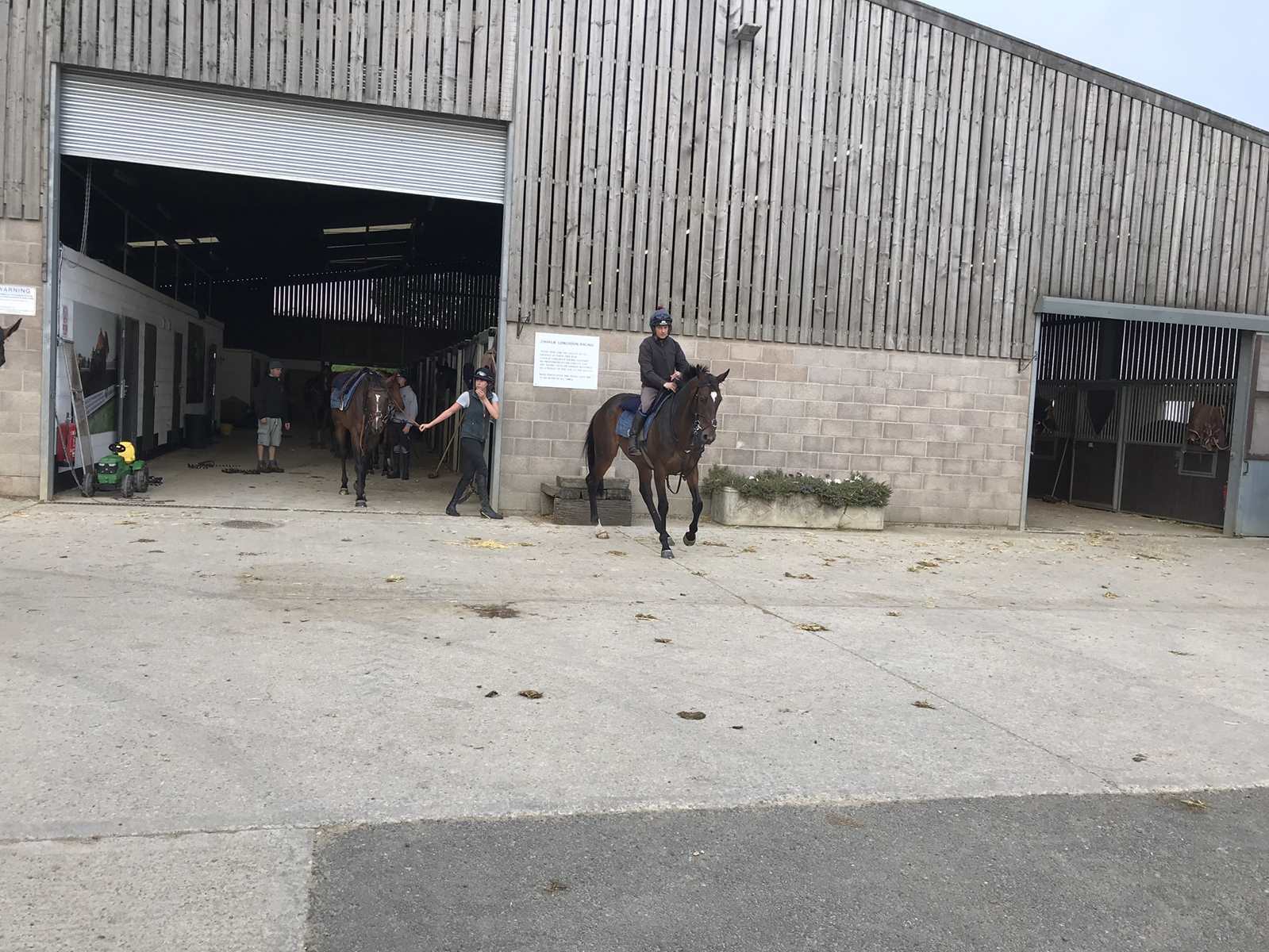 Treackle Tart back at Hull Farm