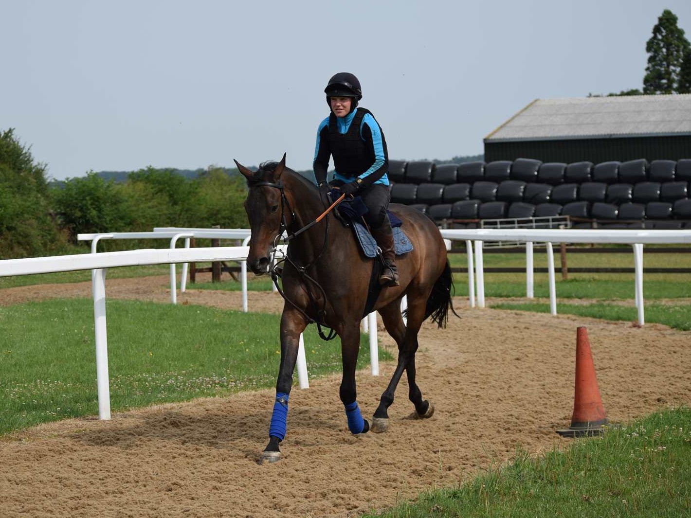 New CLRC horse: A Vos Gardes