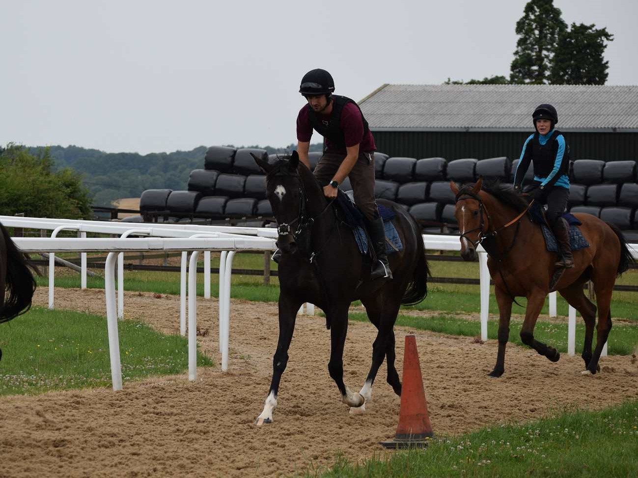 Our Kaempfer back in work
