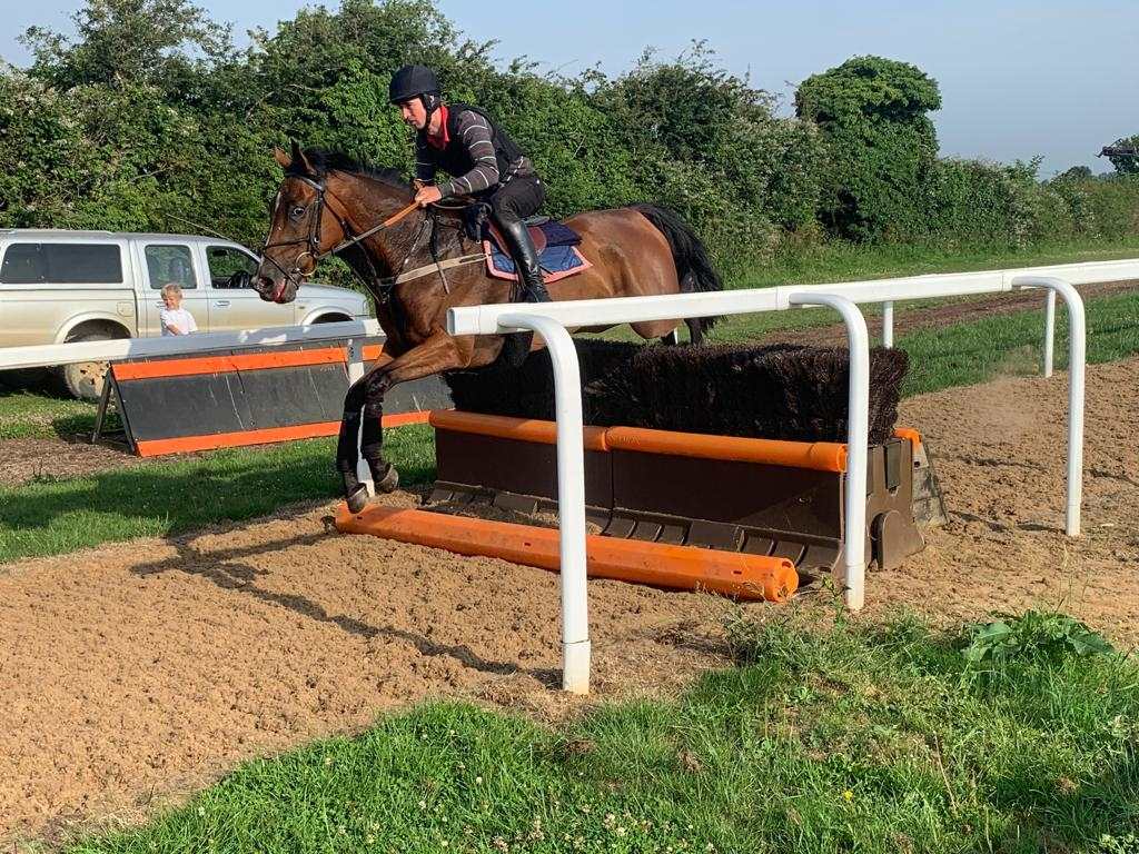 The Vollan schooling