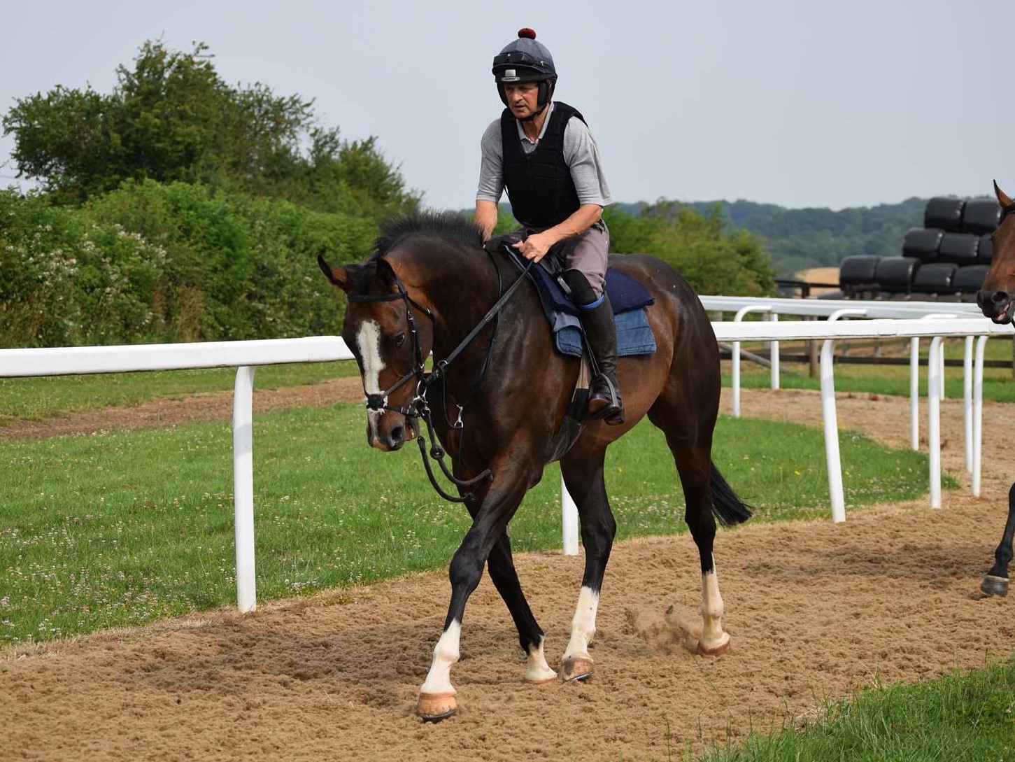 Our very exciting Yeats youngster trotting