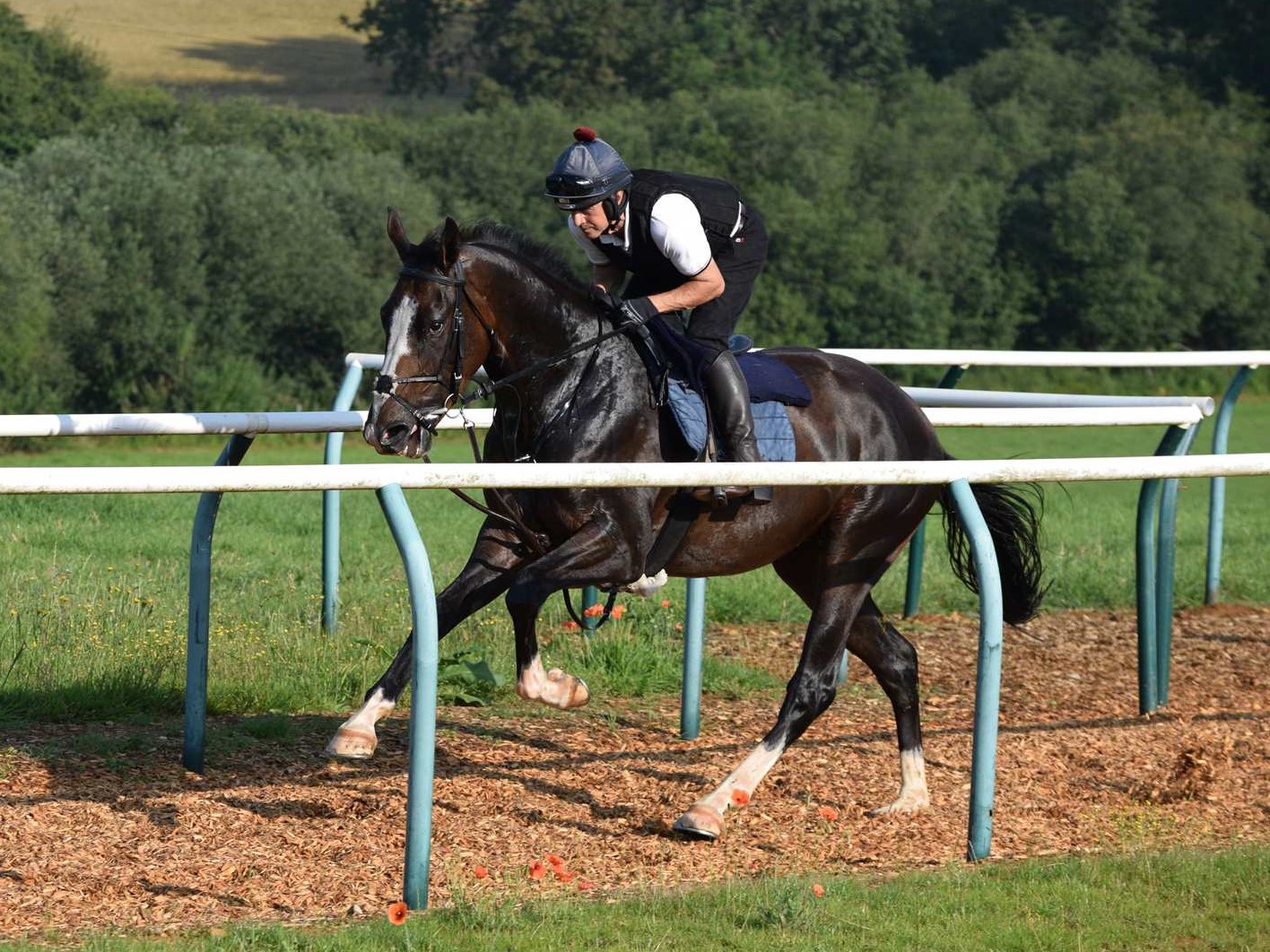 Yeats x Reseda For Sale