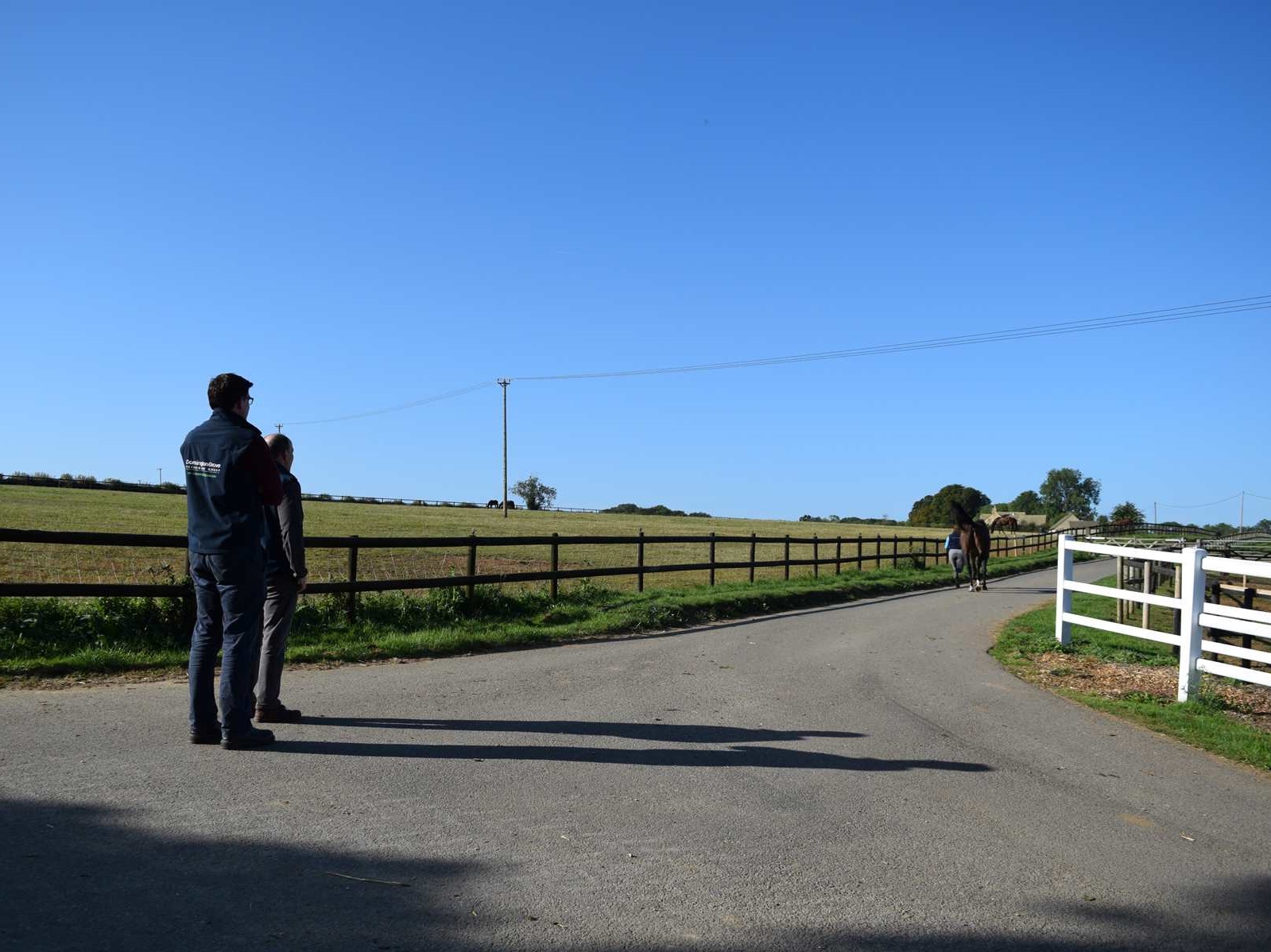 Dave Mathieson examining a horse this morning