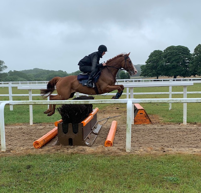 Horses in Training Charlie Longsdon Racing, Oxfordshire