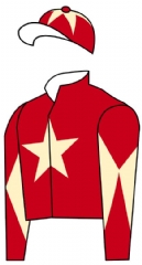 CASTLE ROBIN 2015 Ch G
