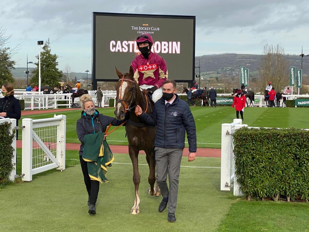 CASTLE ROBIN 2015 Ch G