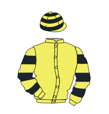 MAXIOS X DELTA FORTY 2022 B G